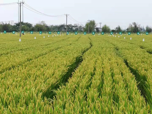 環(huán)太湖有機(jī)廢棄物處理